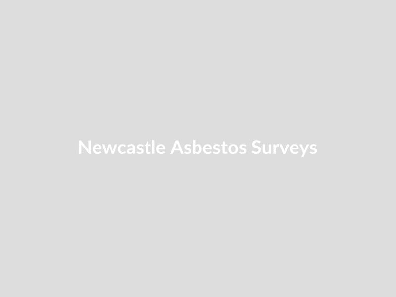 Complete Guide to Asbestos Services in Newcastle